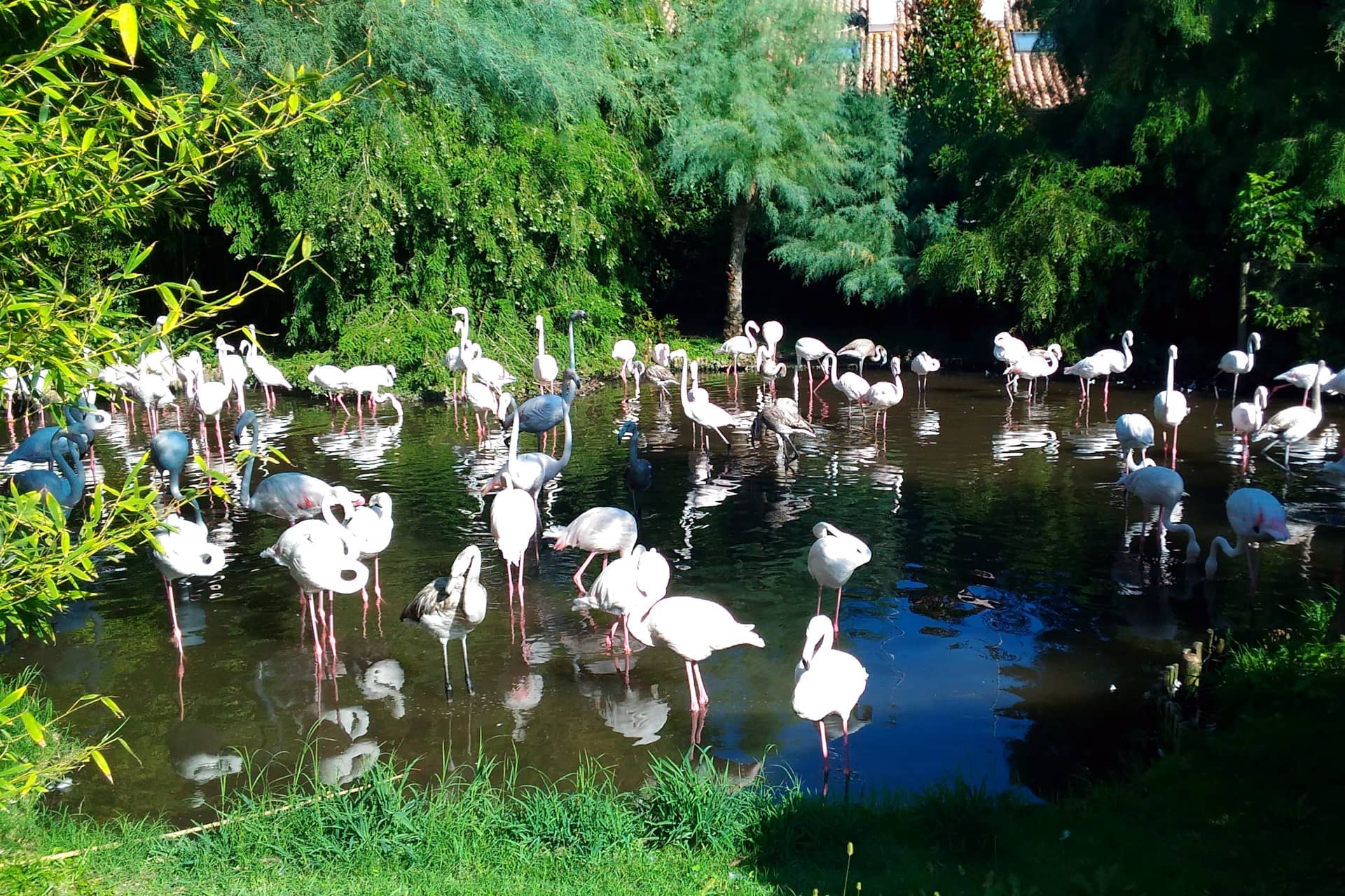 parco zoo